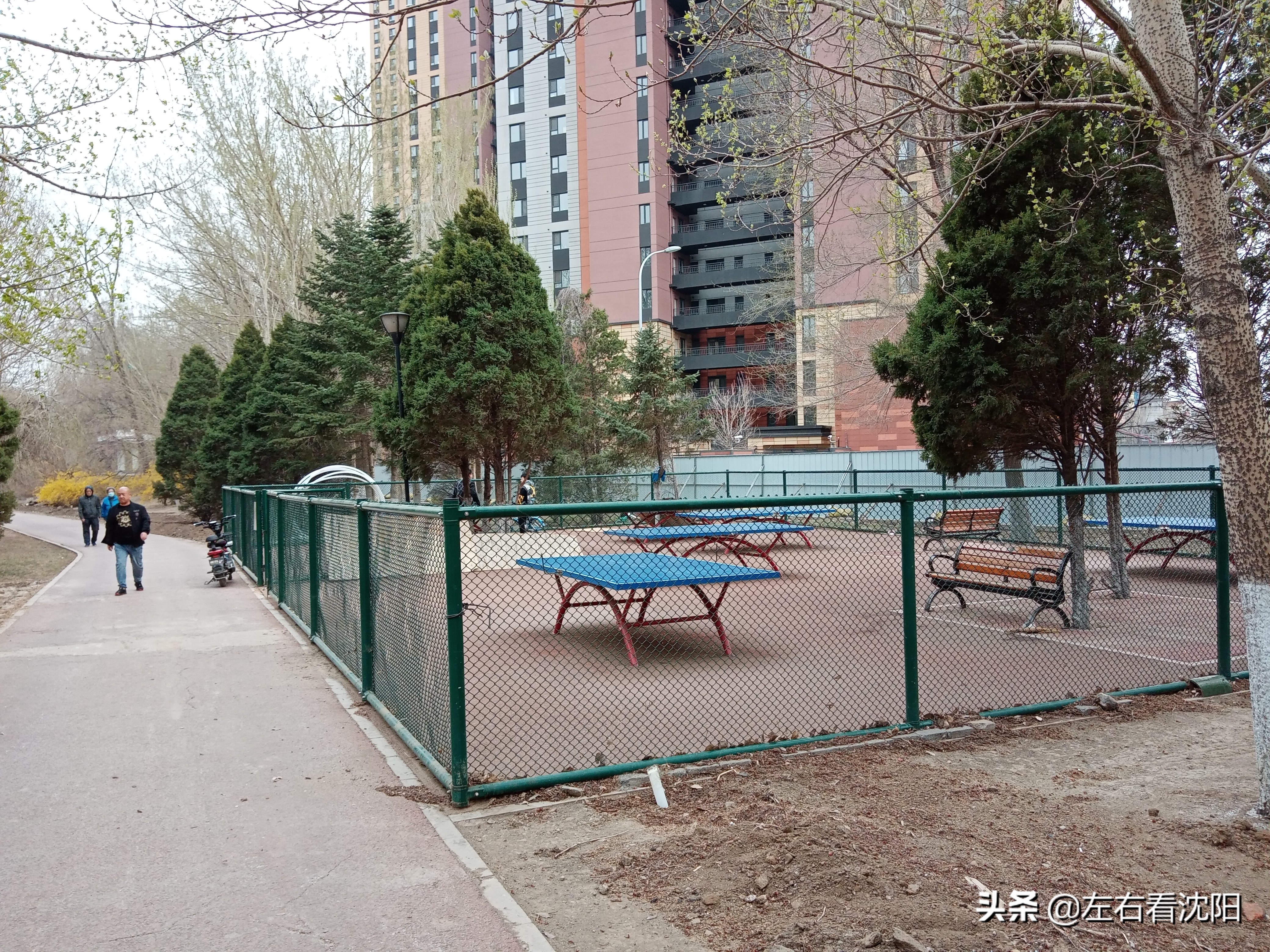 沈阳黎明公园,沈阳大东区黎明公园