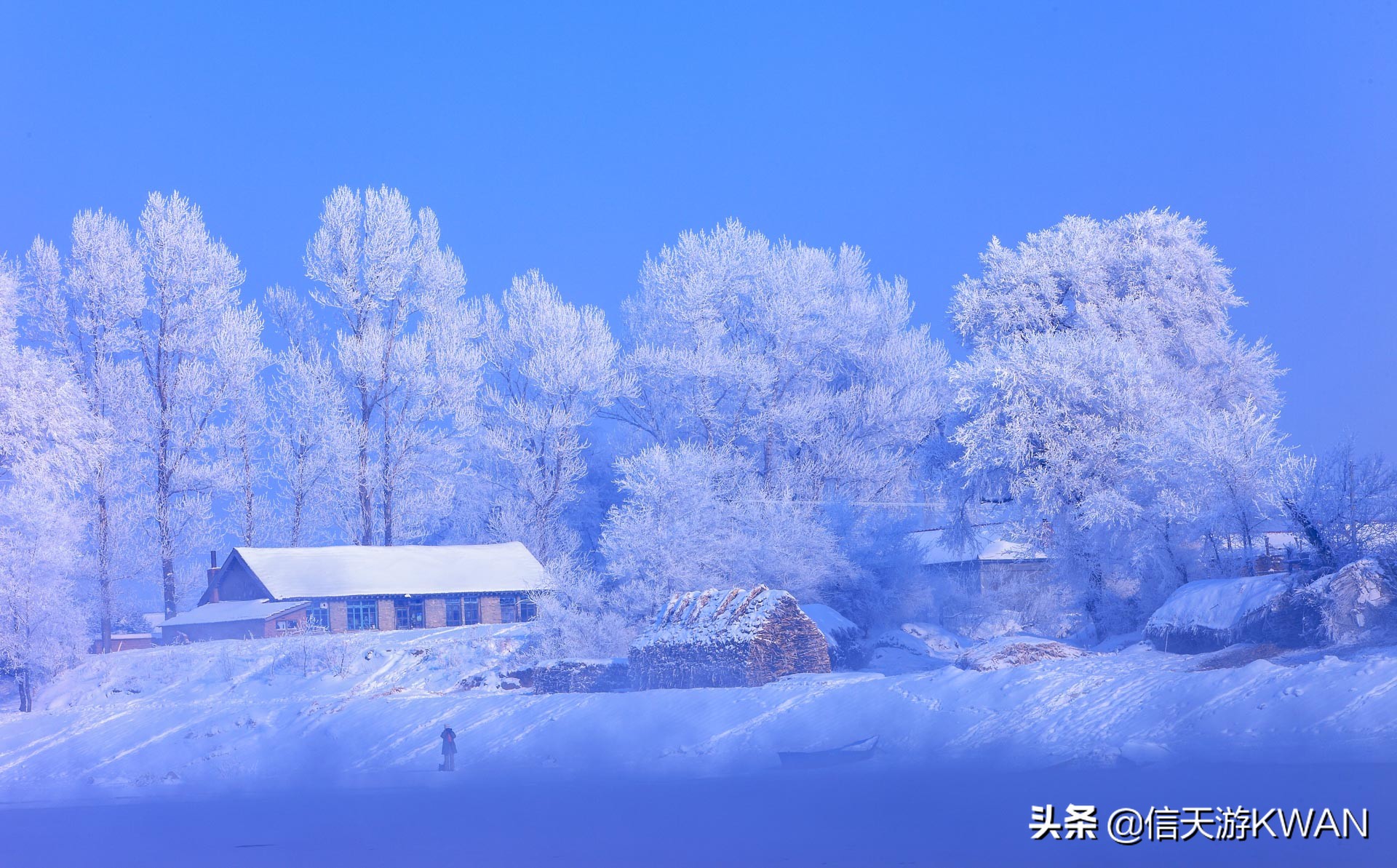 为什么最近越来越多人玩摄影了,越来越喜欢摄影的人