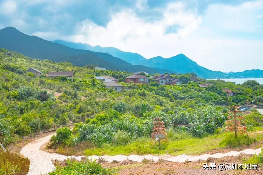 深圳十个小众打卡地,深圳小众旅游地点推荐