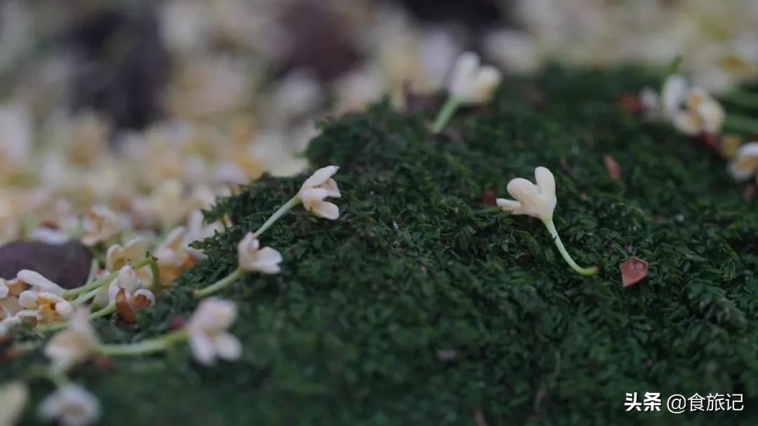 桂花糖露家常做法,桂花香是对秋天最美好的馈赠