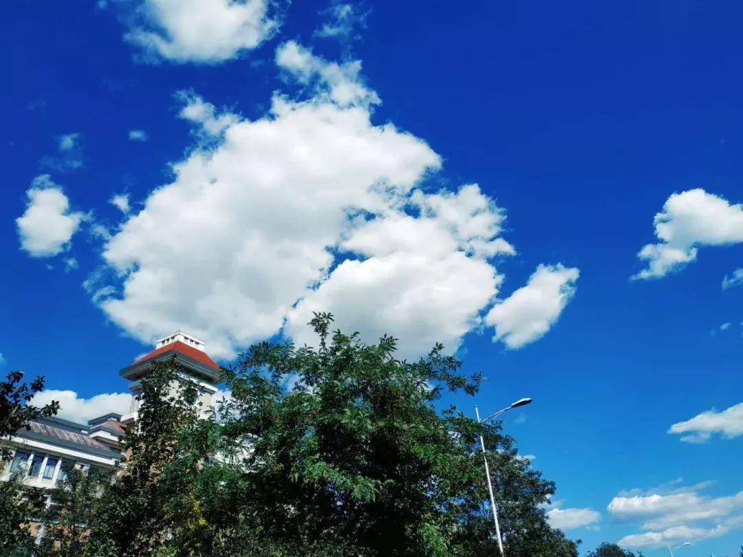 辽宁省民办大学,辽宁理工学院是民办吗