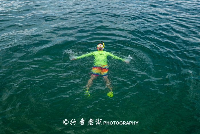 这个荒岛超多海胆和鲍鱼,但不能抓只能看,登岛还必须入境香港