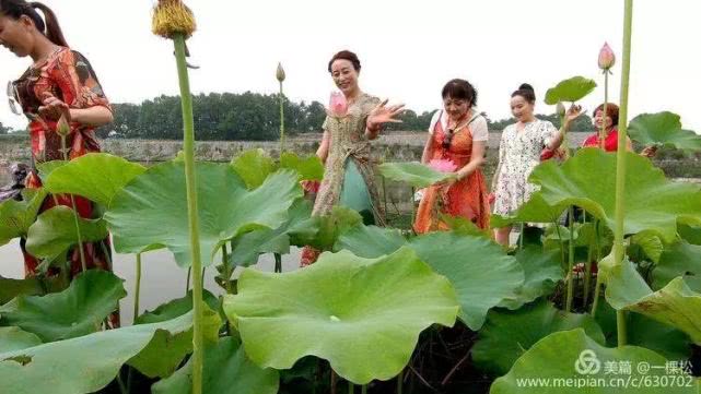 西乡周边景色美的地方,西乡哪里有夜景好看的