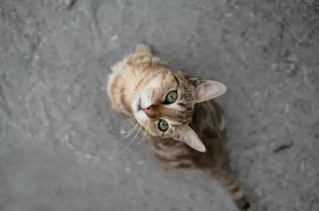 拍照模糊一招搞定,拍照模糊如何去掉