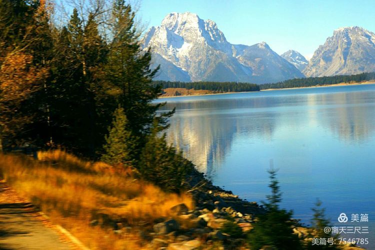 鍖楃編鏋儏闃虫柊,鍖楃編鏋儏鍥剧墖