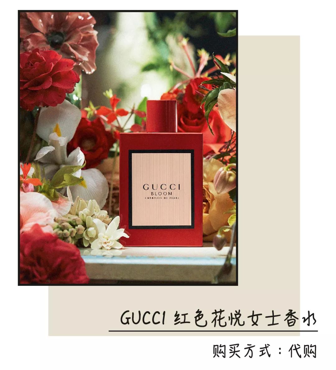 ysl全新圣罗兰香水评测,ysl全新新锋香水