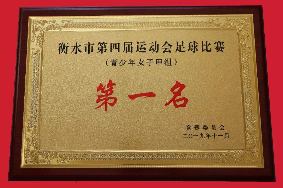 桃城中学2024年中考喜报,桃城中学喜报