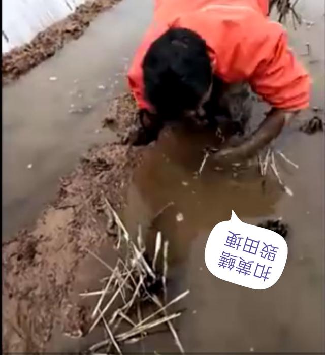 鎵ｉ粍槌濈殑鐪熷疄瑙嗛,鍦ㄥ閲屾墸榛勯碀