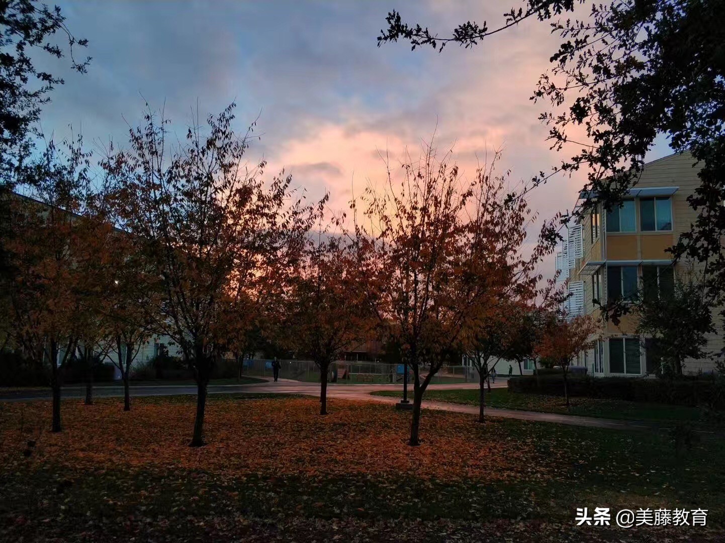 国内本科生怎样考上本特利大学？