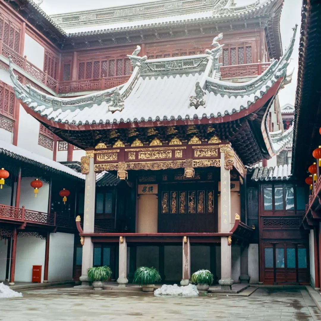 中国园林第一人，每个中国人都该谢谢他