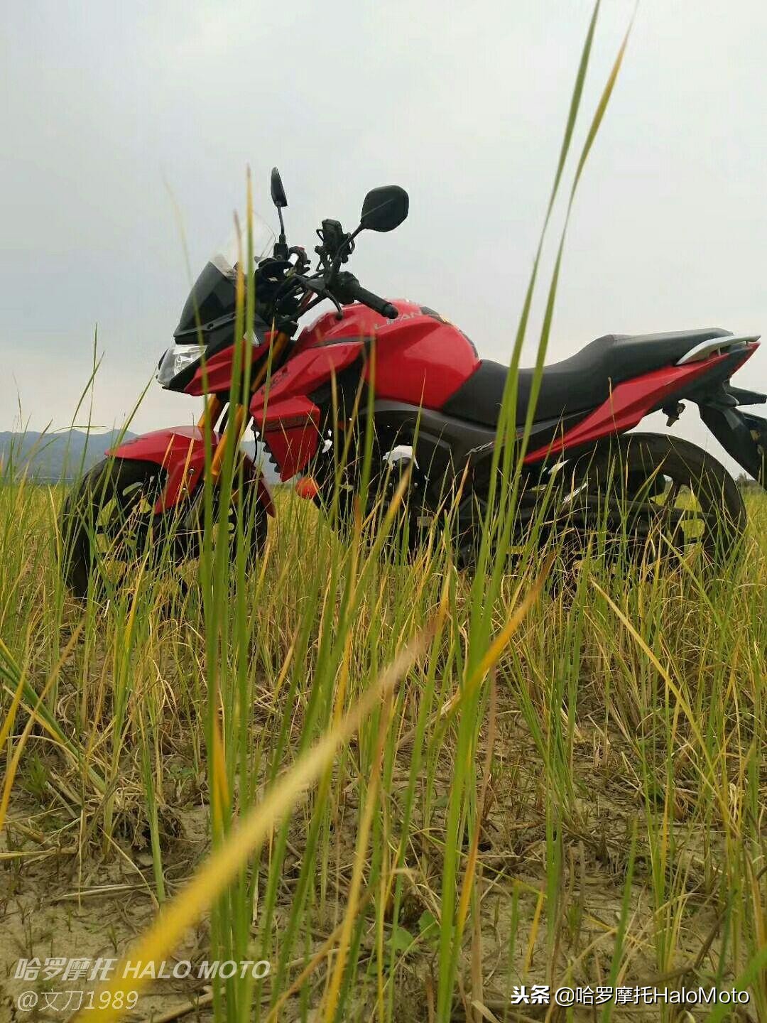 哈啰车评,哈罗评车20期