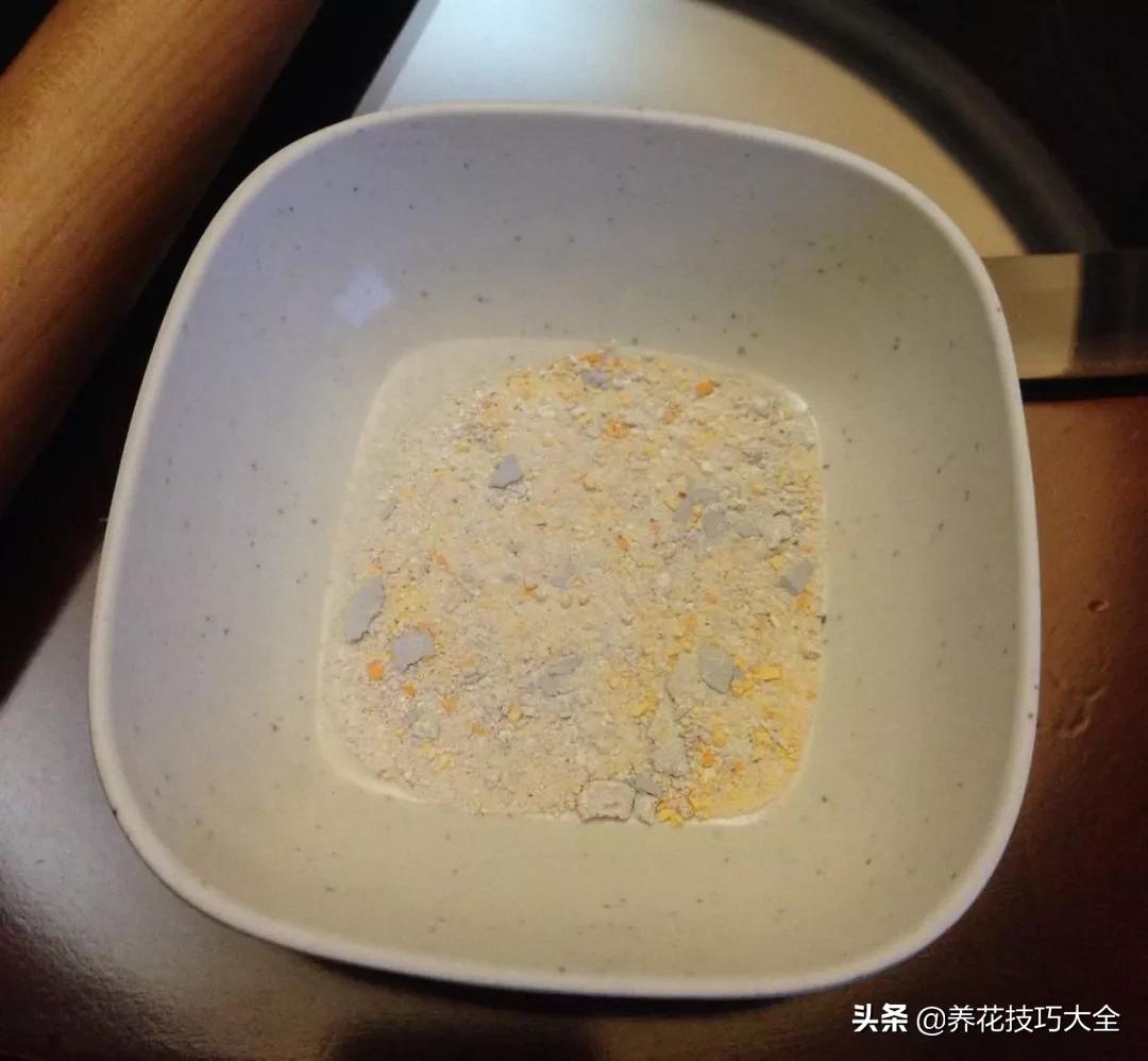 绿萝的叶片不够亮？浇水加点它，两周就能恢复