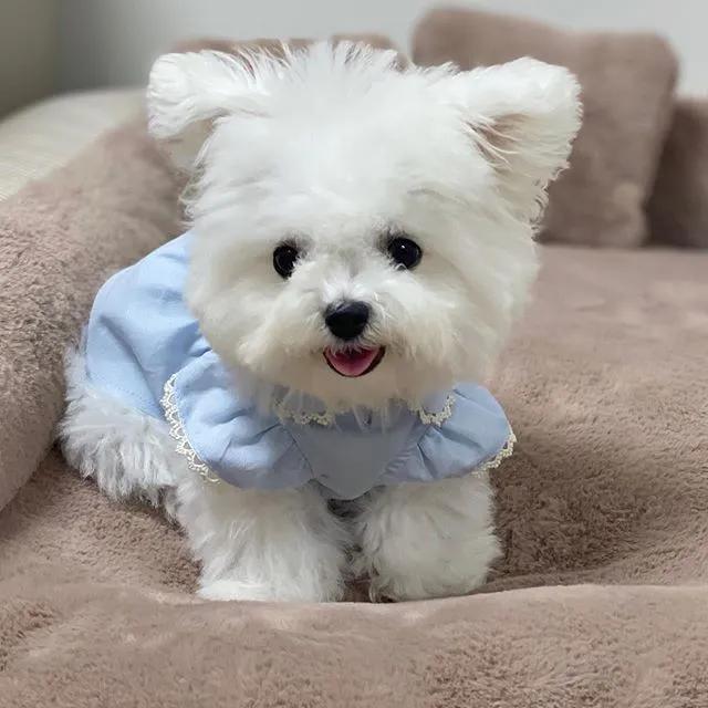 拿什么方式减压,有什么最好的减压方法