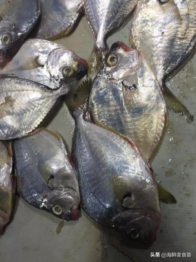 常见的鱼虾蟹等海鲜的认识,虾蟹类海鲜大全