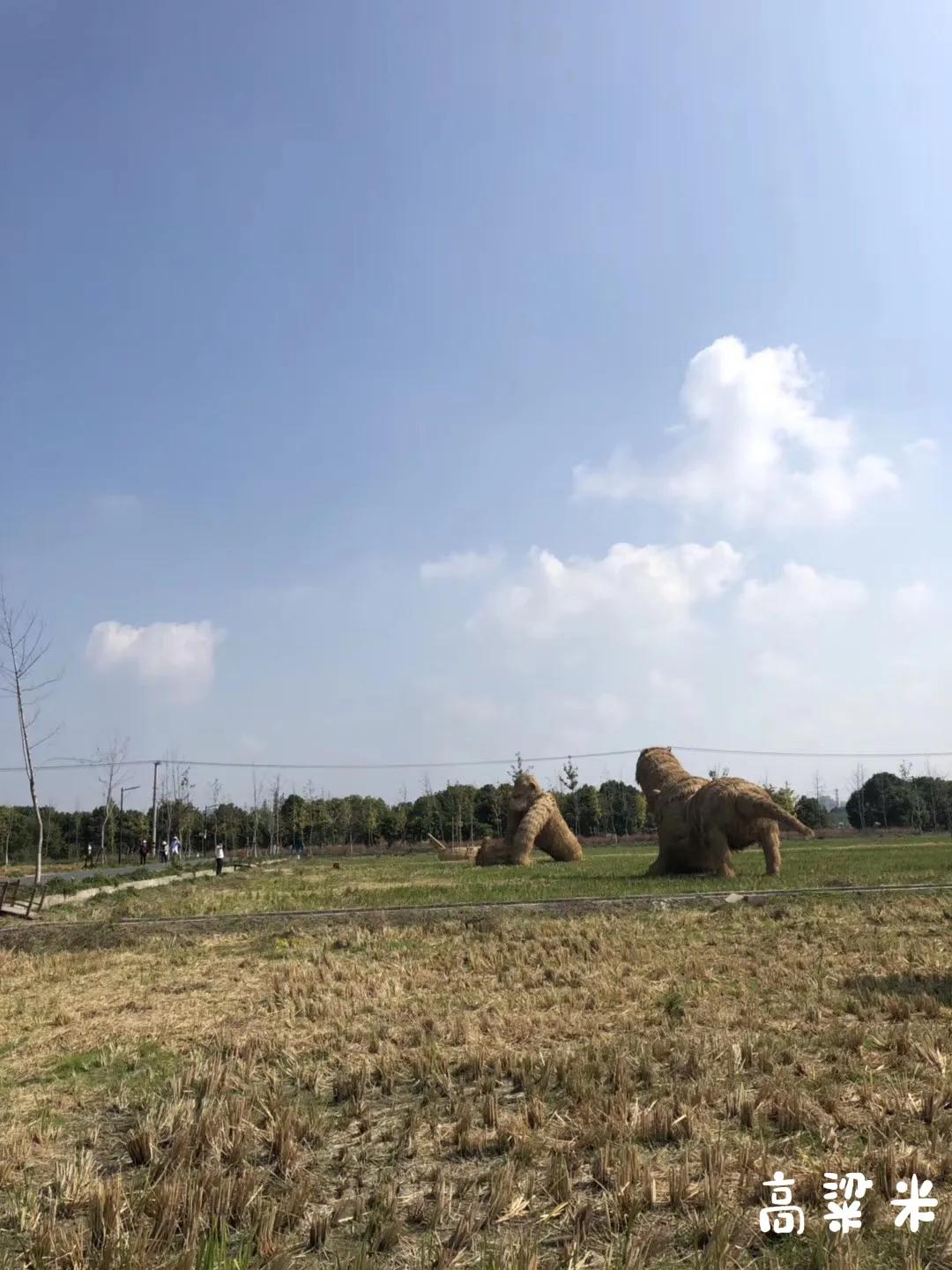 嘉北郊野公园二期,嘉北郊野公园