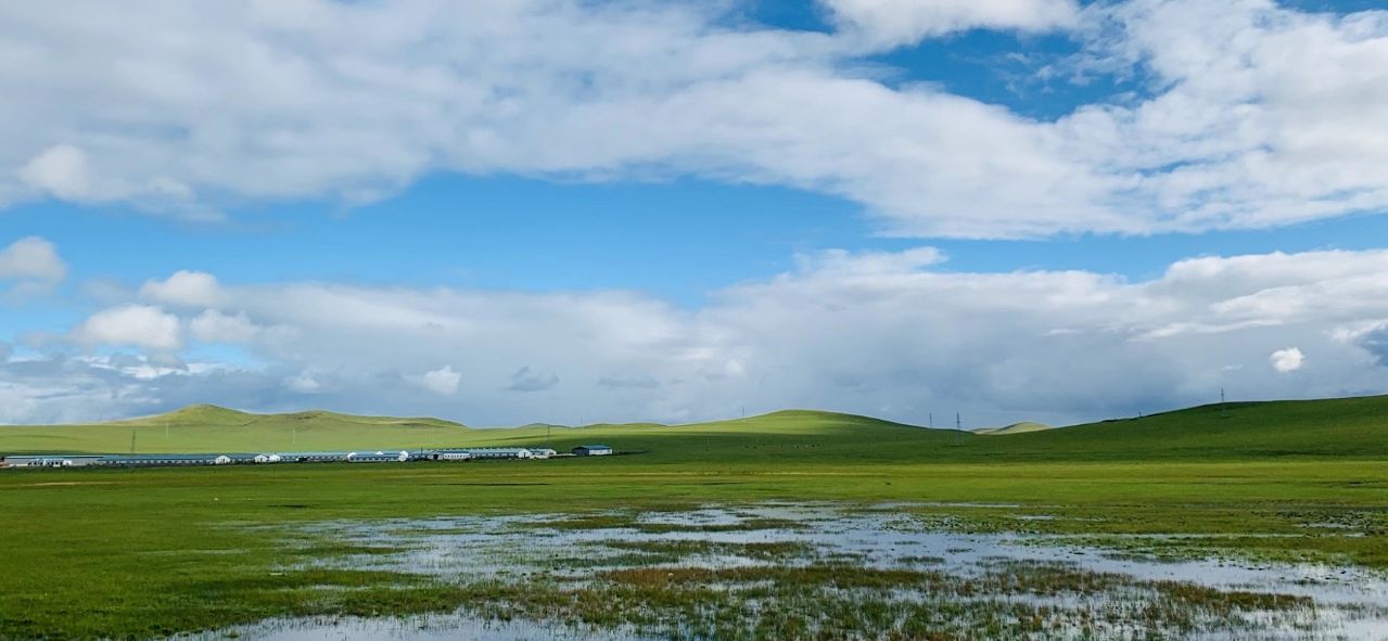 盛夏之旅美丽呼伦贝尔 (呼伦贝尔金秋之旅)