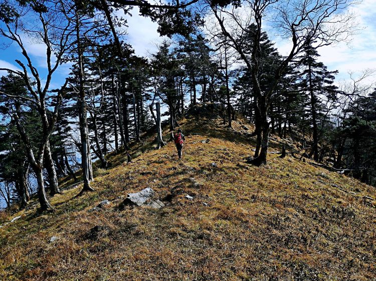 20201101惊悚之行~首阳山大坪梁单日横穿+原返