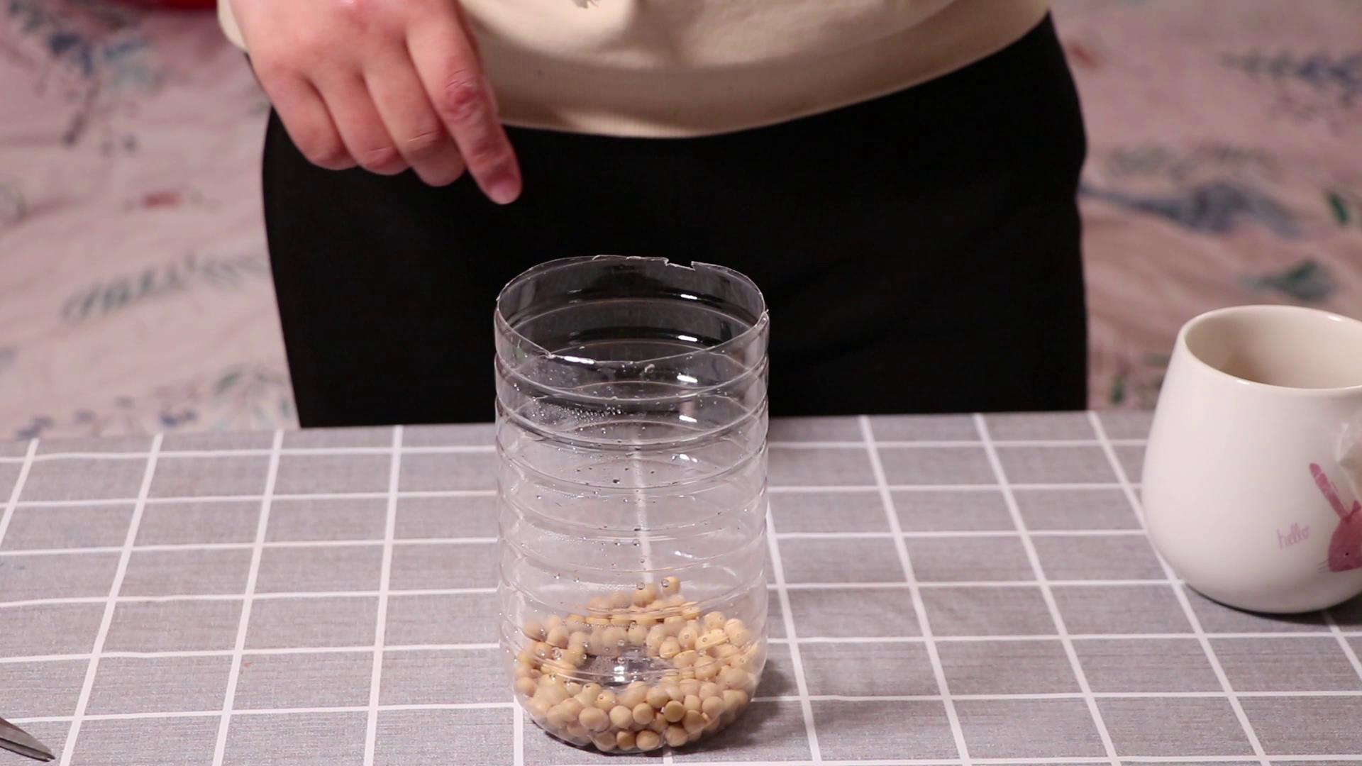 泡发豆芽的主要步骤和注意事项,发豆芽可以用保鲜膜代替纱布吗