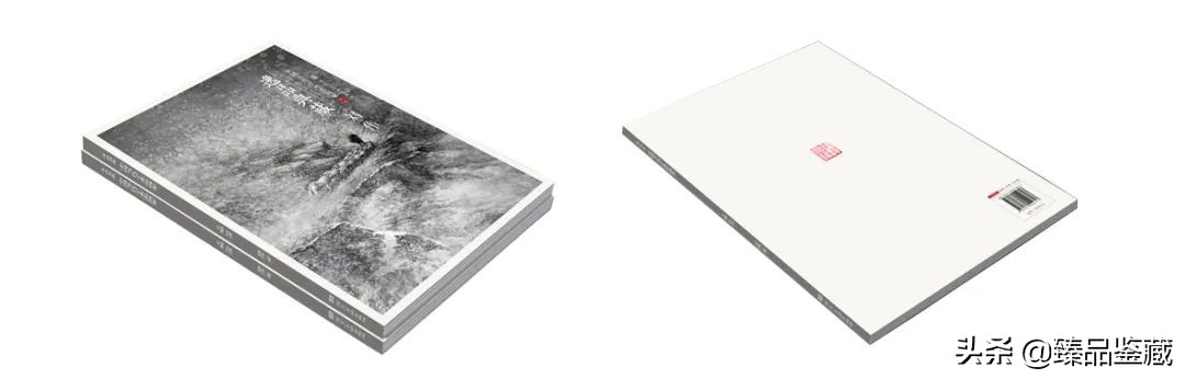 中国美术家协会会员表,中国美术家协会会员画作