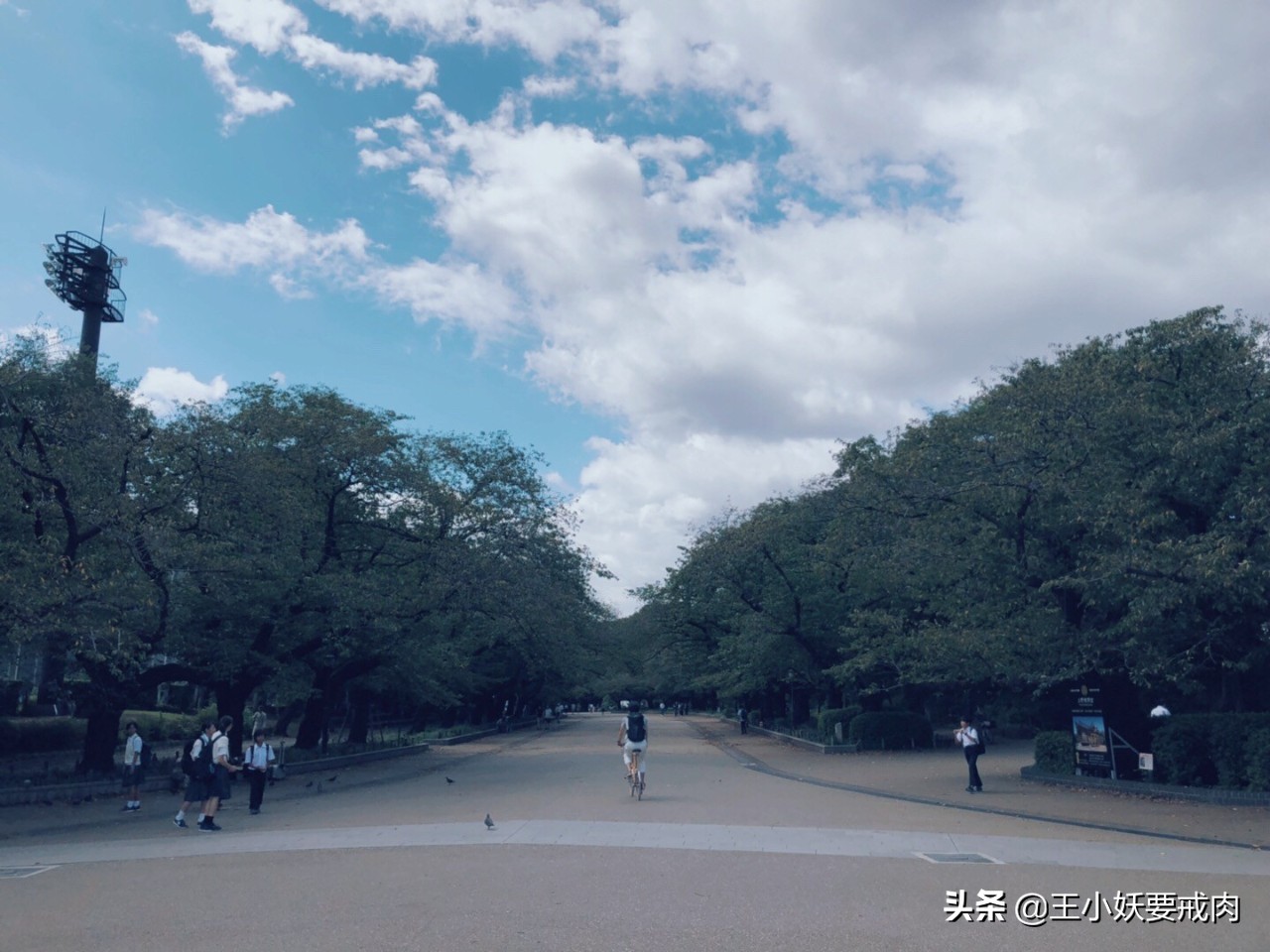 日本自由行攻略7天旅游,日本自由行攻略十大必去景点