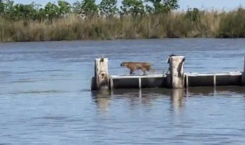 25张活久未见的历史照片,35张活久见的照片