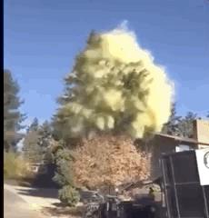 日本人的安全感,口罩带来的安全感