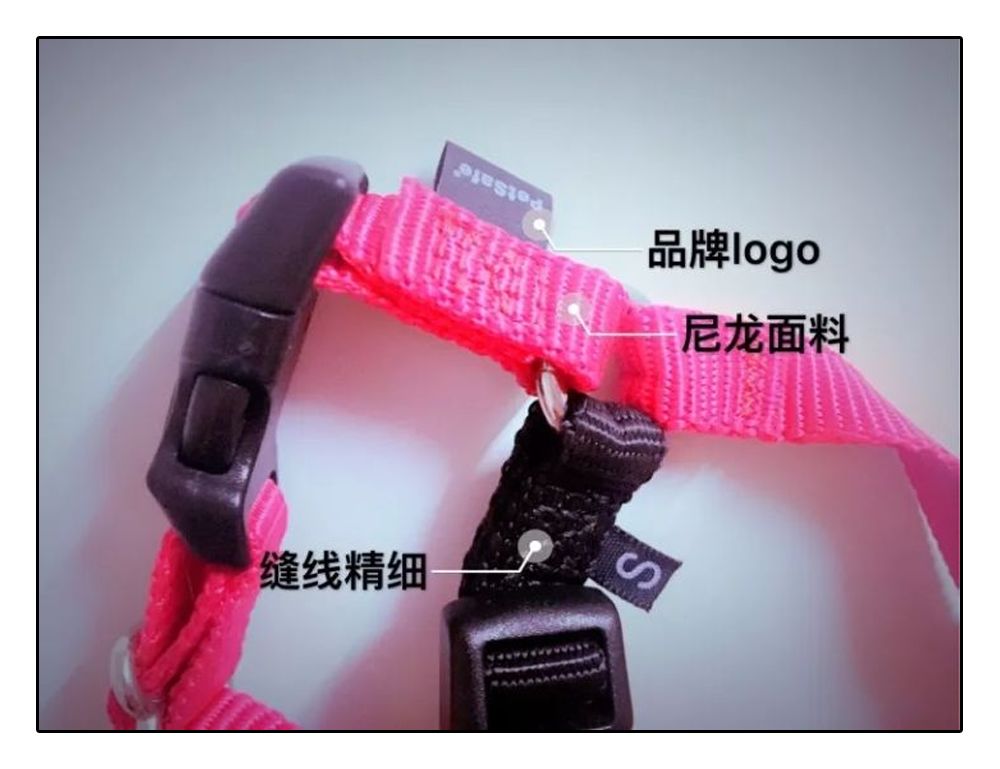 铲屎官安全注意事项,铲屎官遇到危险土狗