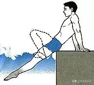 抬头蛙泳轻松入门,新手入门学蛙泳还是自由泳