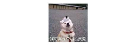 用微信这么久了才发现的功能,经常用的微信有什么别的功能