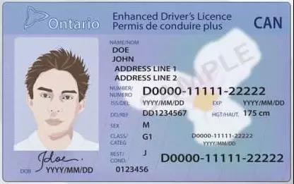 加拿大租房，加国枫留记之驾照应该这么考！