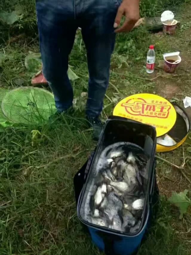 野钓大鱼怎么钓最好,野钓深水怎么钓大鱼