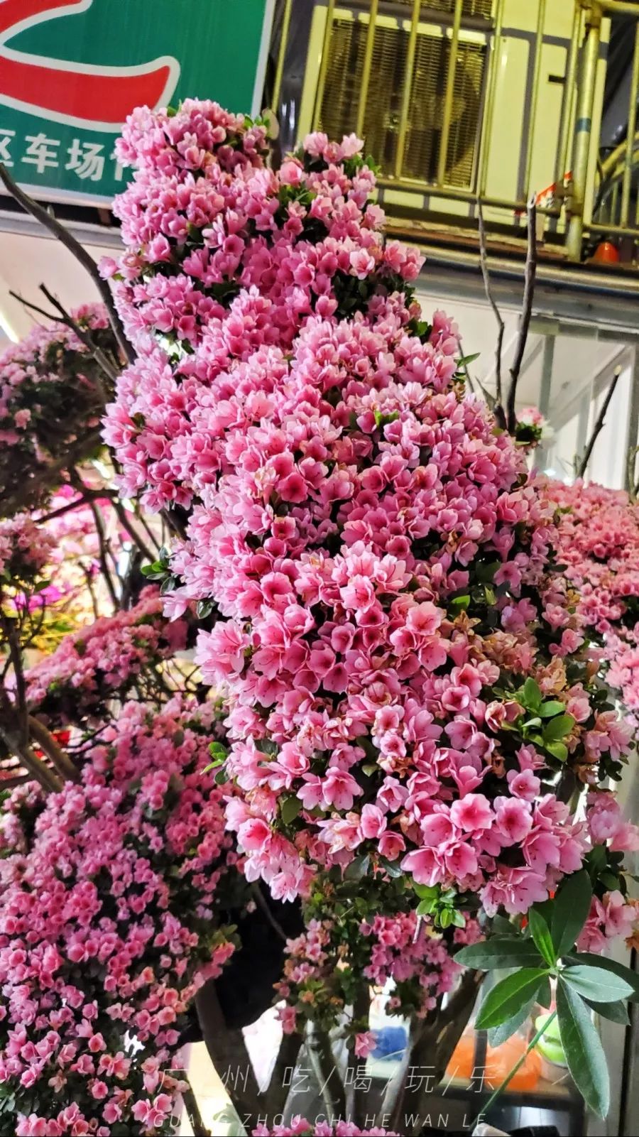 快收藏攻略,快收藏干货