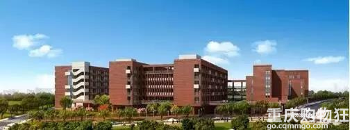 两江新区小学简介,重庆市两江新区金州小学排名