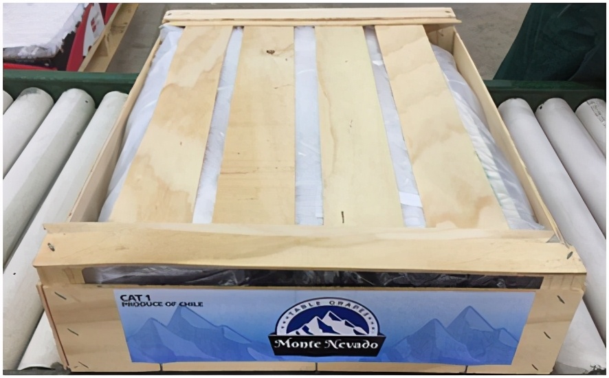 进口提子哪些品种 (进口提子品种及图解)