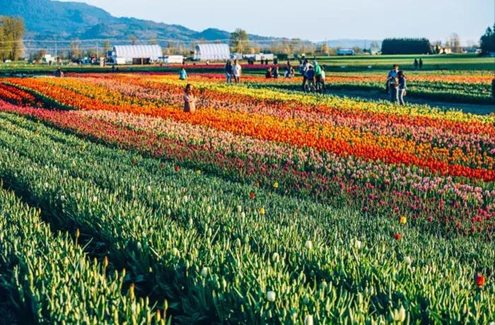 当你去过很多地方的时候,当你去过很多地方走过很多路