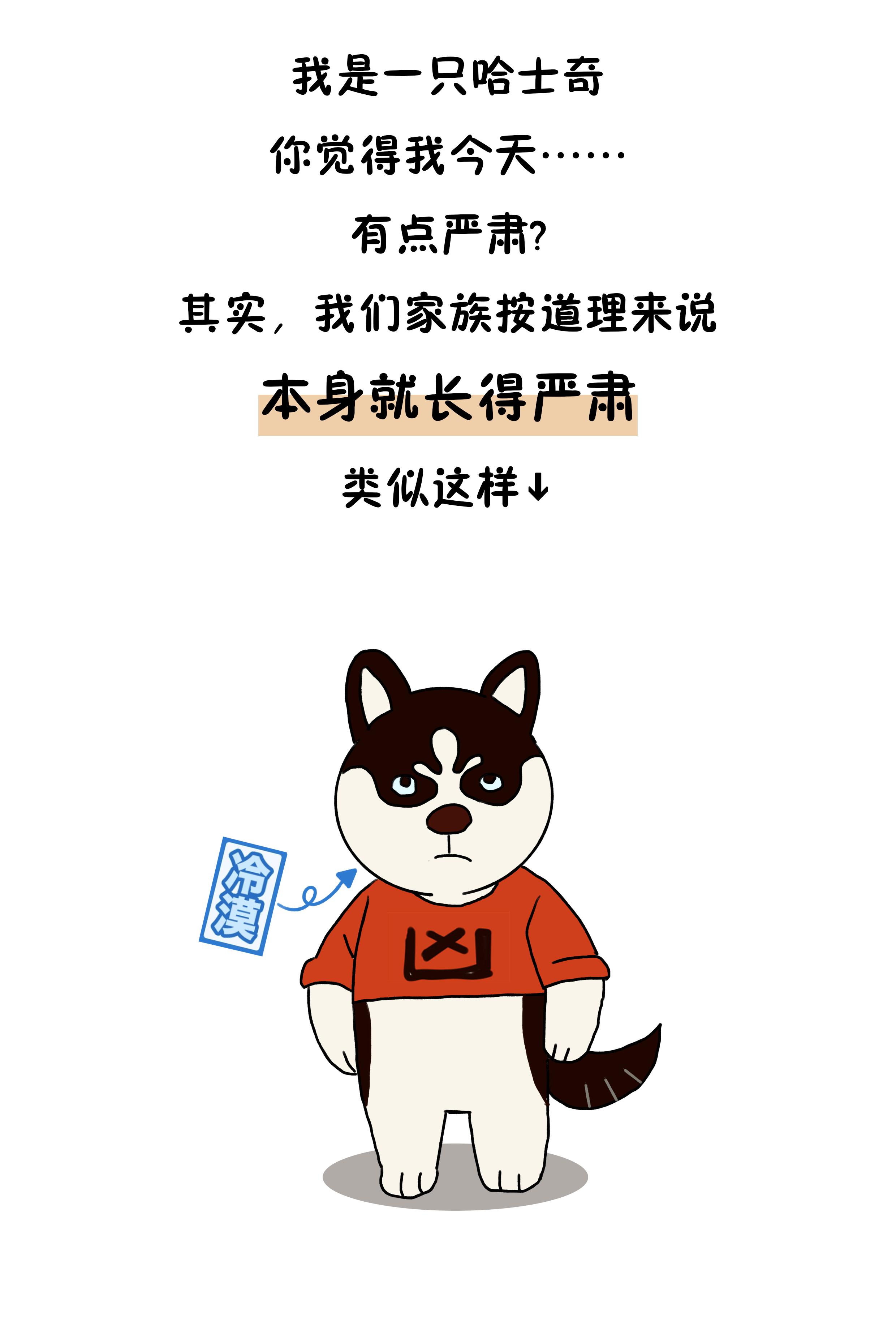 作为狗界泥石流，哈士奇当真这么笨？辟谣：服从性不等于智商