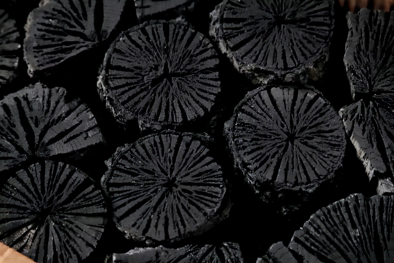 君子兰怎么才能养好根,怎样把君子兰根养好