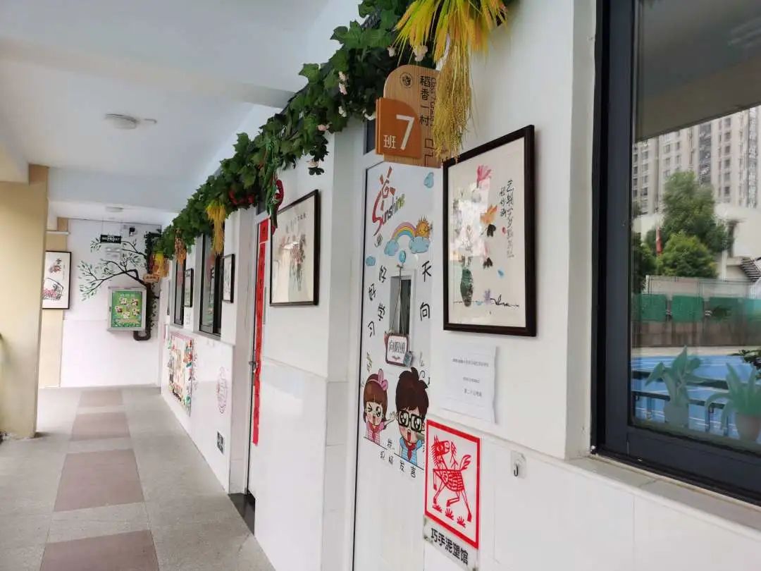 合肥稻香村小学排名第几,合肥稻香村小学醇美经典