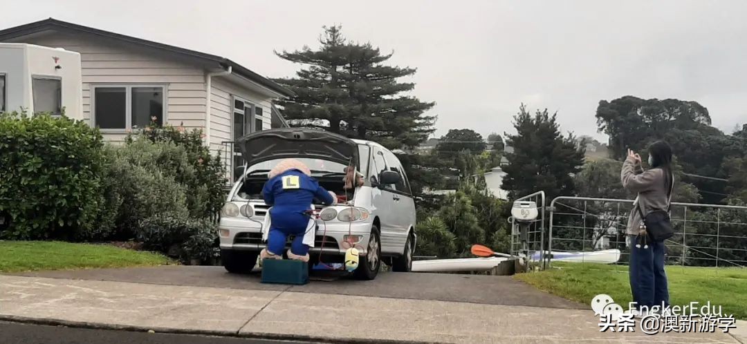 封城期间，玩偶一家的生活大揭秘