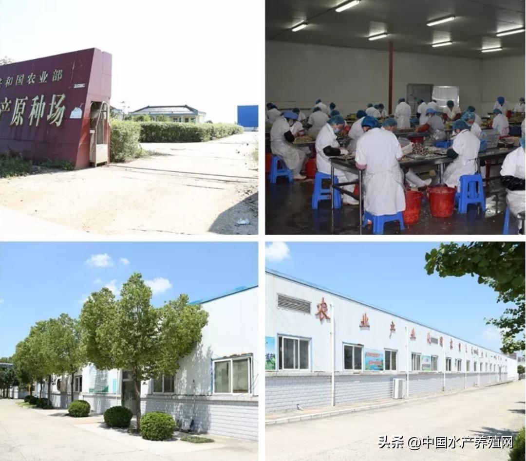 他白手起家，90年代便将河蟹出口国外！生态养蟹20余年，听女山湖畔的传奇“蟹王”，再话蟹人蟹事