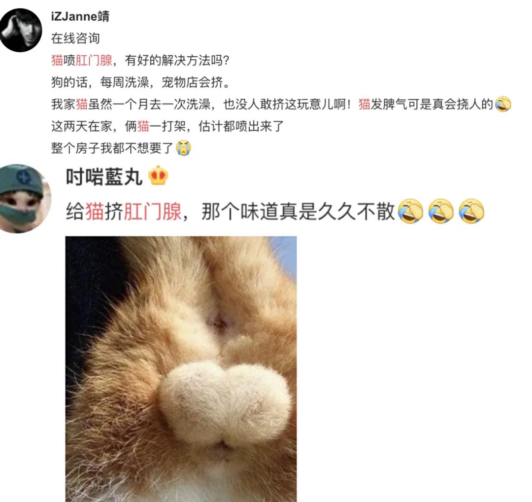 淦！给猫挤肛门腺喷到笔记本键盘上了