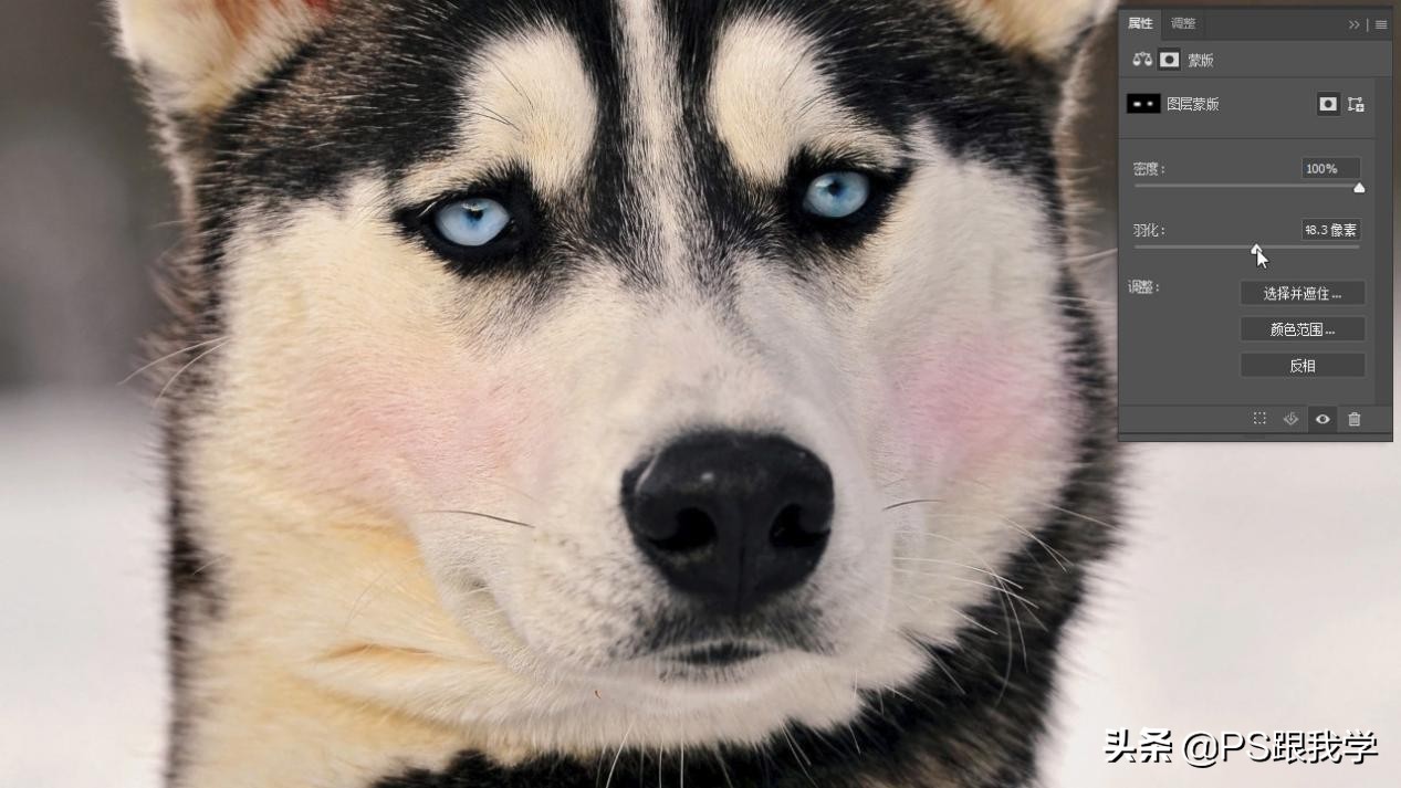 ps魔棒工具选区羽化,ps羽化选区攻略