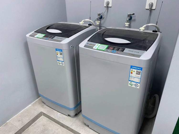 上海自助洗宠,上海宠物自助洗宠