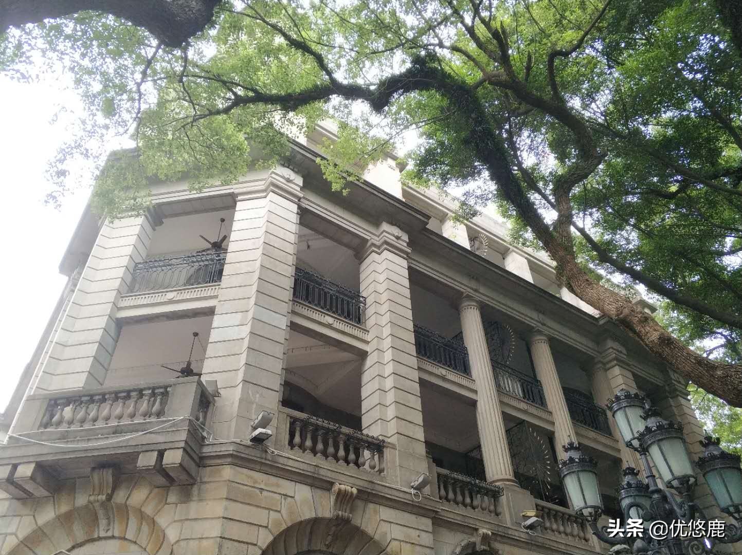 广州长隆野生动物园自驾大马戏,广州长隆野生动物园攻略马戏表演