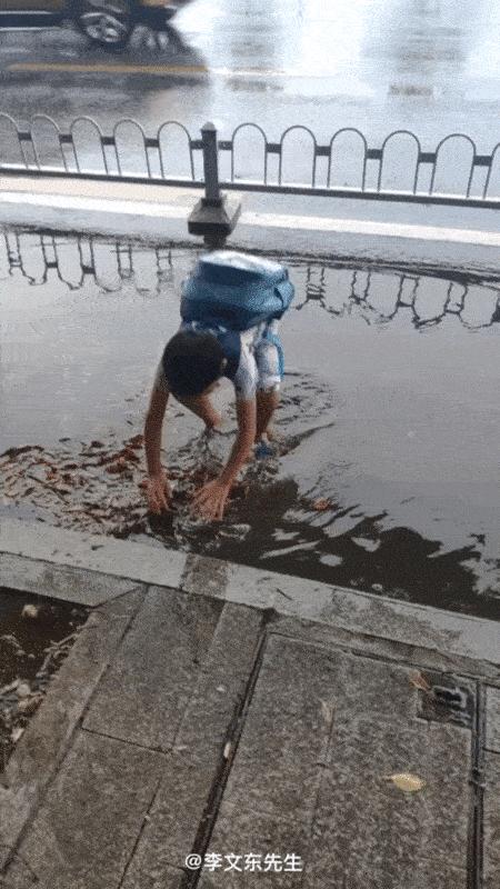 搞笑动图gif熊猫,搞笑动图gif阿姨