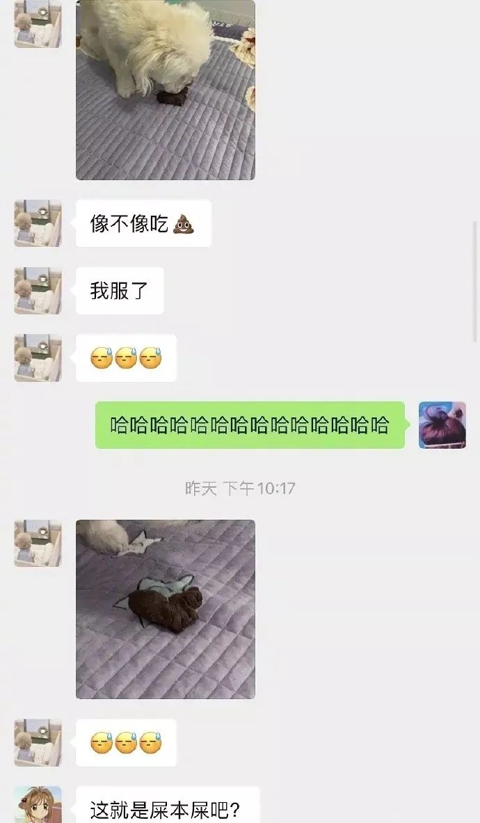 “不带口罩试试,试试就逝世!”网友:哈哈这操作令人瑟瑟发抖