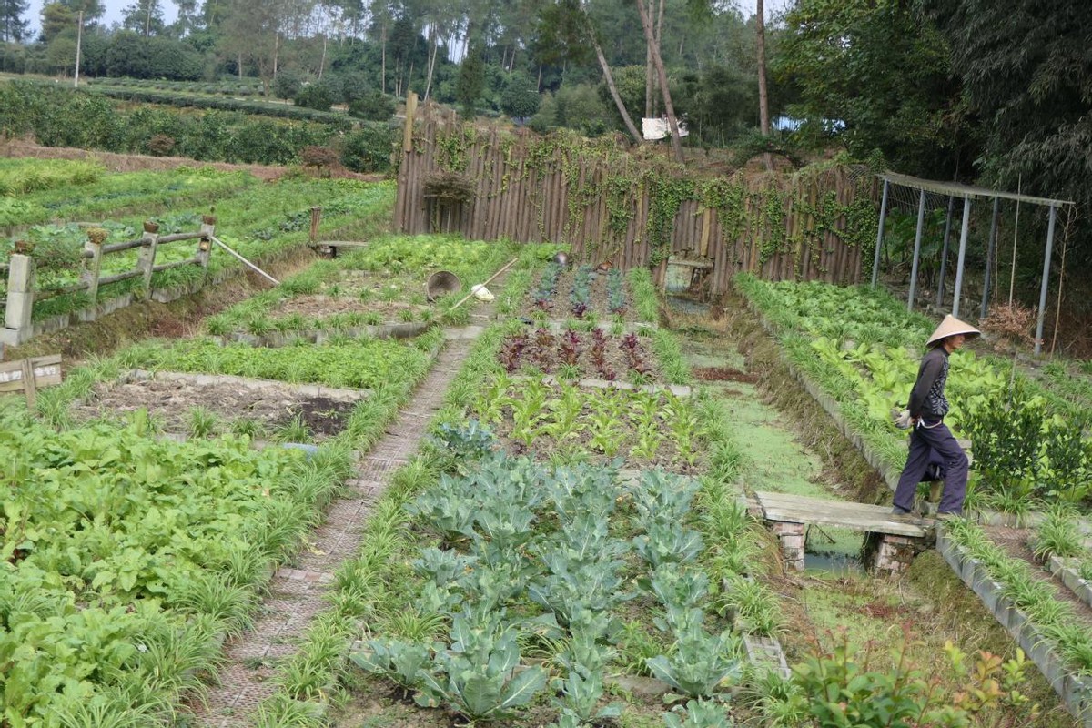 农业是个暴利行业,农业领域好吗