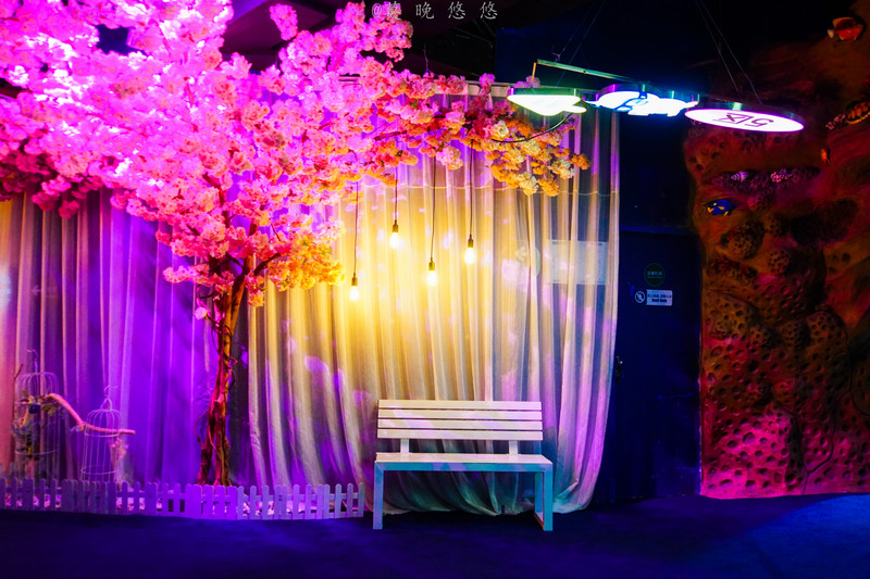 海洋极地海洋世界攻略,正佳极地海洋世界白鲸海象