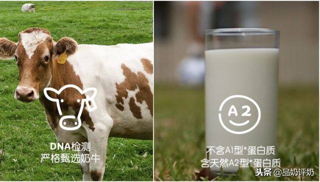 深扒蒙牛牛奶是真的吗,深扒伊利蒙牛牛奶