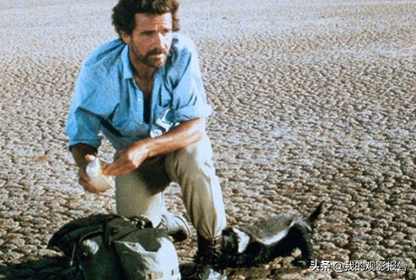 国外喜剧电影大全免费,沙雕无厘头喜剧电影